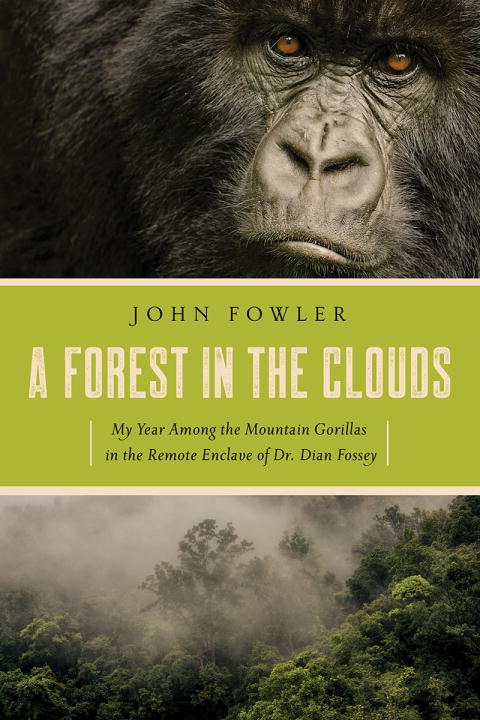 A FOREST IN THE CLOUDS –: MY YEAR AMONG THE MOUNTAIN GORILLAS IN THE REMOTE - Fowler John