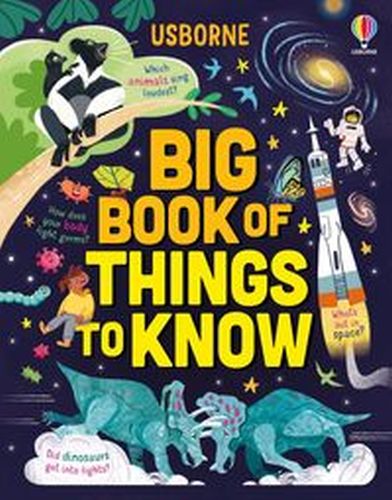 BIG BOOK OF THINGS TO KNOW - Sarah Hull