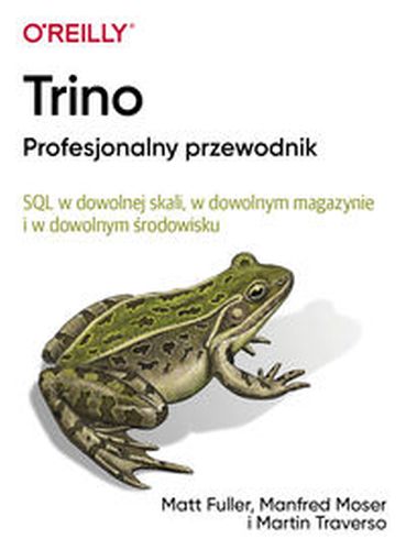 TRINO PROFESJONALNY PRZEWODNIK - Traverso Martin