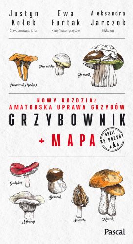 GRZYBOWNIK + MAPA - Justyn Kołek