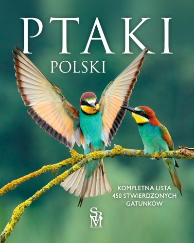 PTAKI POLSKI - Dominik Marchowski